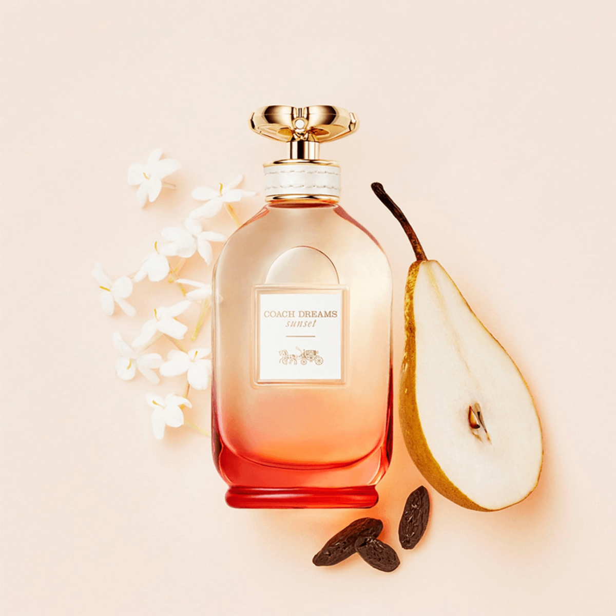 Coach Dreams Sunset Eau de parfum for women
