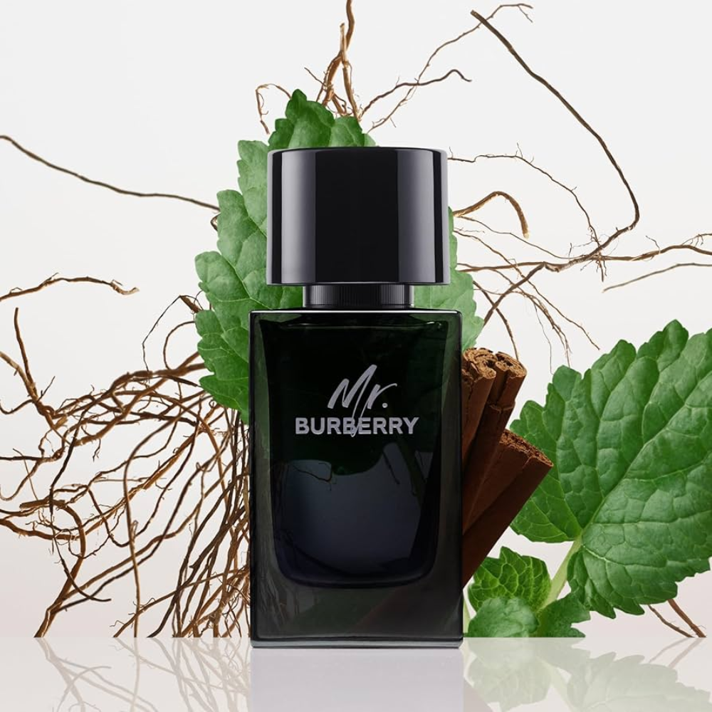 Burberry Mr. Burberry EDP for men | Samples