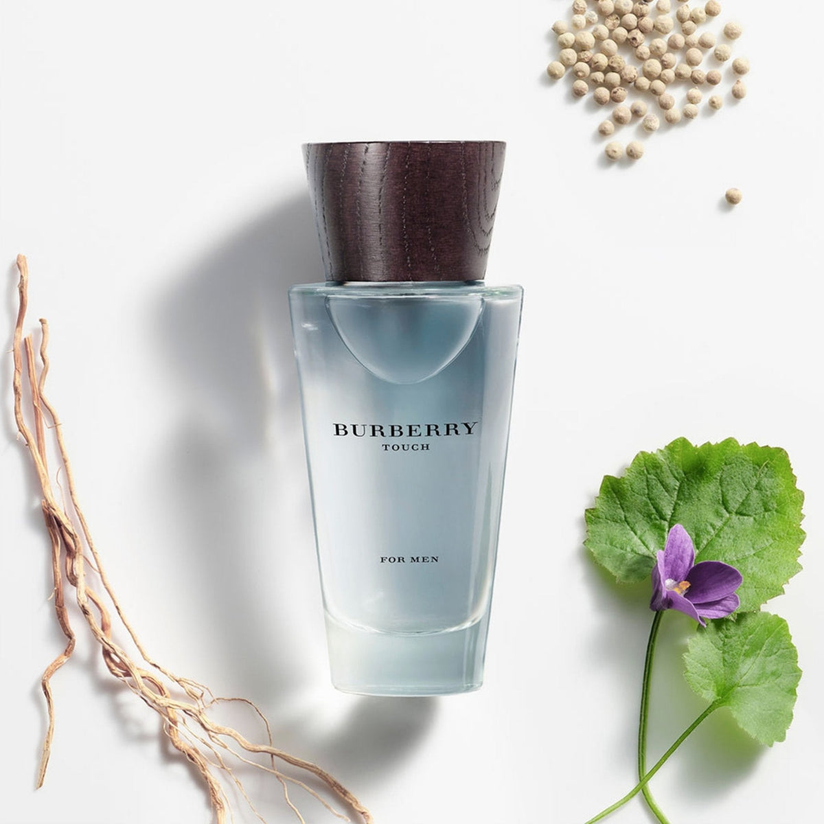 Burberry Touch for Men Eau De Toilette