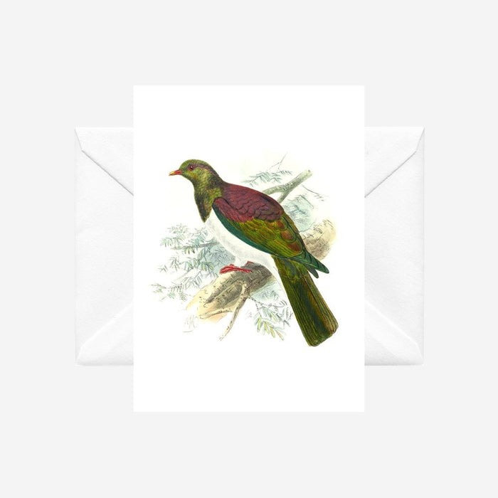 Johannes Keulemans - Card - New Zealand Pigeon - Kereru
