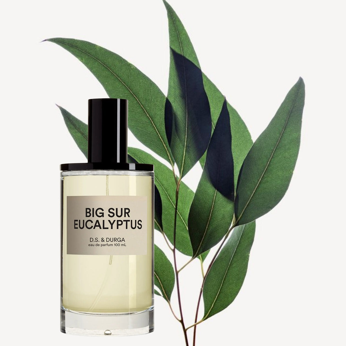 D.S. & Durga Big Sur Eucalyptus Eau De Parfum