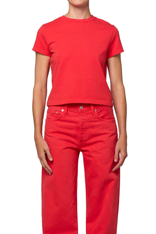 Adine Shrunken Tee in Carnival