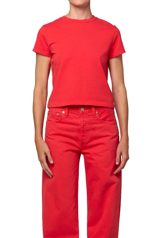Adine Shrunken Tee in Carnival