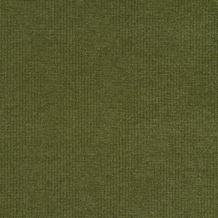 Doyenne - Terre Verte - 4078 - 09