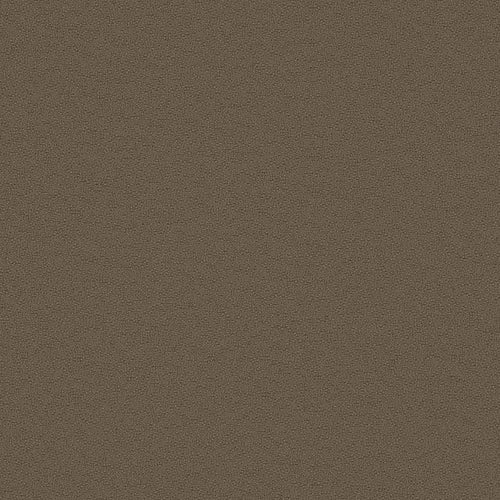 Essentials - Brier - 1006 - 04 - Half Yard