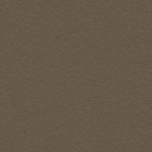Essentials - Brier - 1006 - 04 - Half Yard