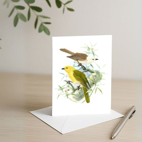 Johannes Keulemans - Card - Yellowhead - Mohua and Whitehead - Popokotea