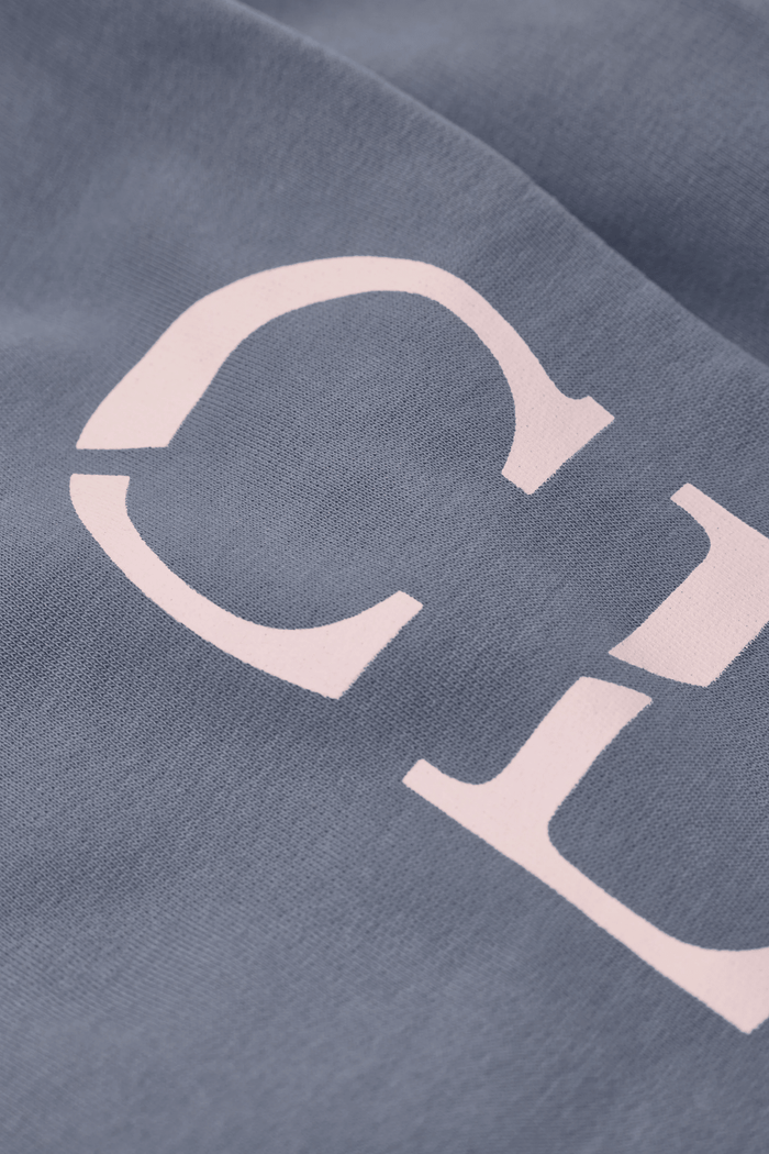 Logo Hoodie Made of Organic Cotton in Strato Grey