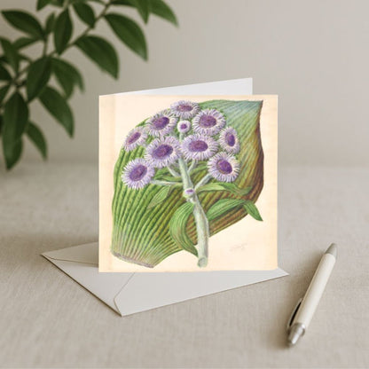 Sarah Featon - Card - Antarctic Daisy