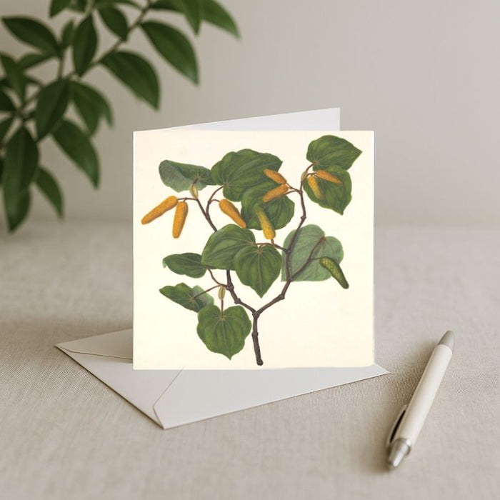 Sarah Featon - Card - Kawakawa