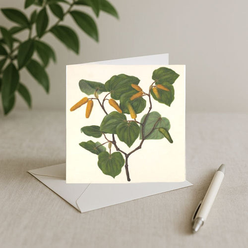 Sarah Featon - Card - Kawakawa