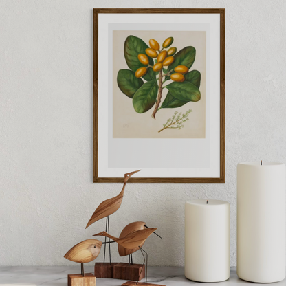 Sarah Featon - Print - Karaka