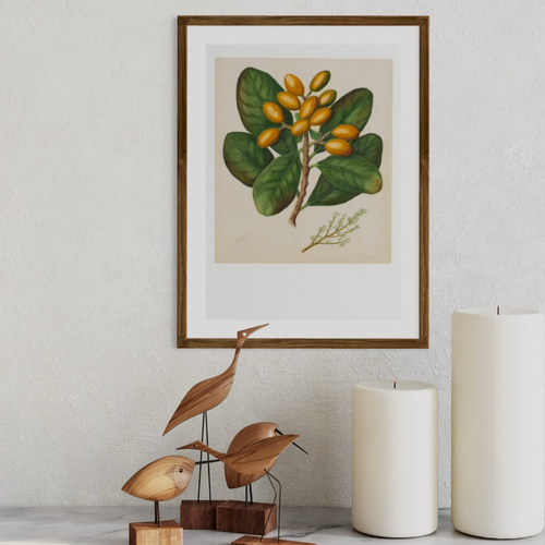 Sarah Featon - Print - Karaka