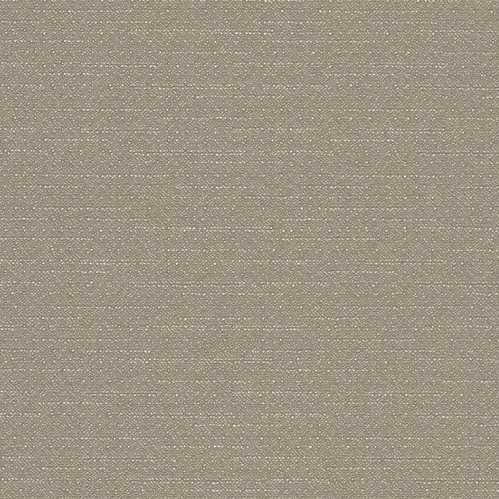 Warp Speed - Earth Orbit - 1007 - 07 - Half Yard