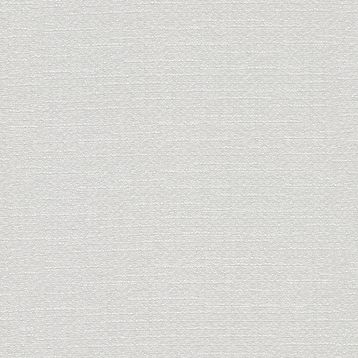 Warp Speed - Headwind - 1007 - 01 - Half Yard