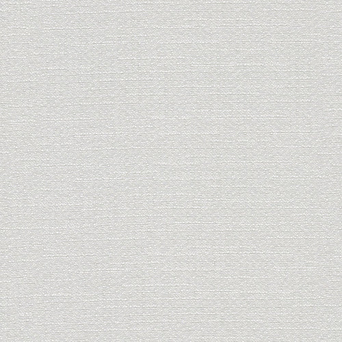Warp Speed - Headwind - 1007 - 01 - Half Yard