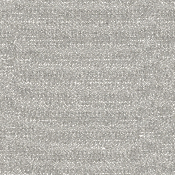 Warp Speed - Jet - 1007 - 05 - Half Yard