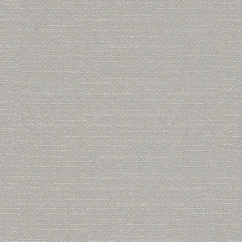 Warp Speed - Jet - 1007 - 05 - Half Yard