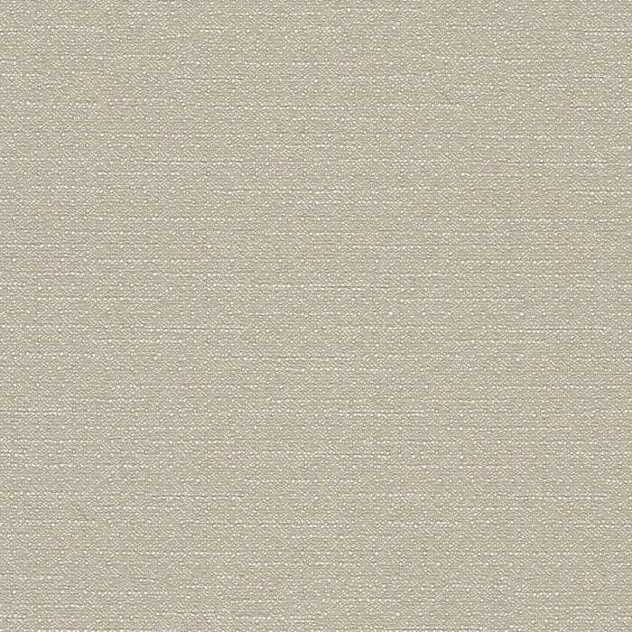 Warp Speed - Reed Arrow - 1007 - 04 - Half Yard