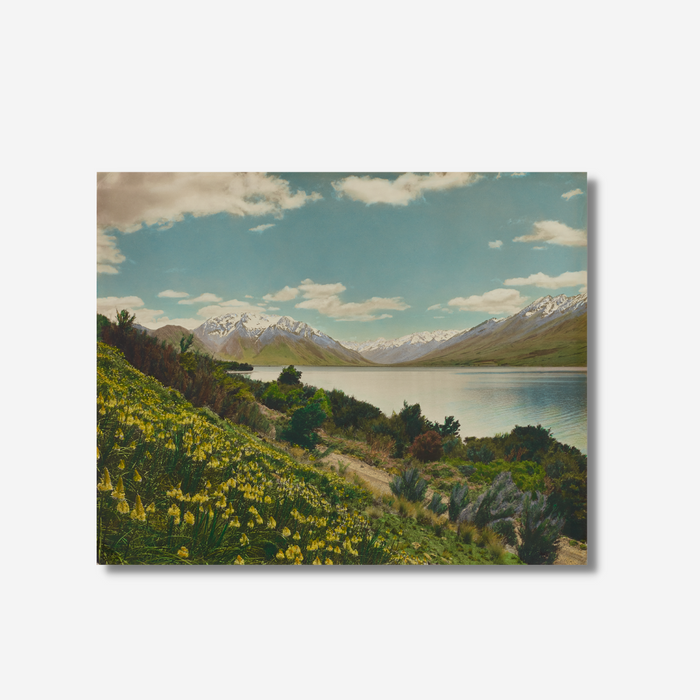 Whites Aviation - Print - Lake Ohau, Waitaki country
