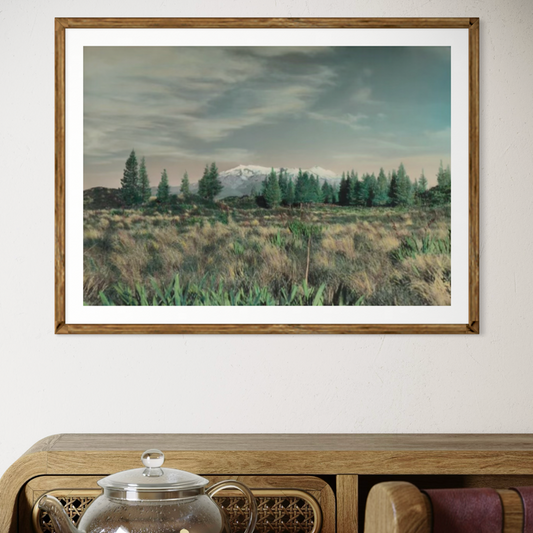 Whites Aviation - Print - Mt Ruapehu