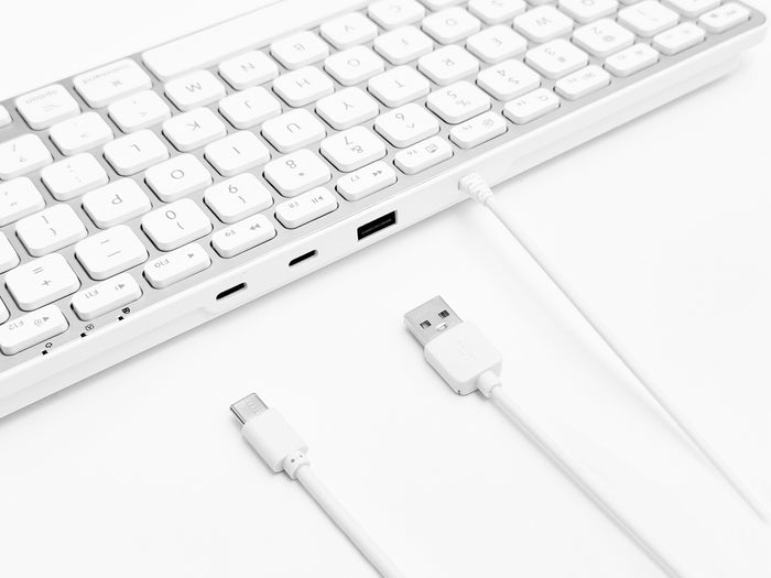 Macally keyboard dual USB-C and USB-A connector cable detail with built-in USB hub ports close-up