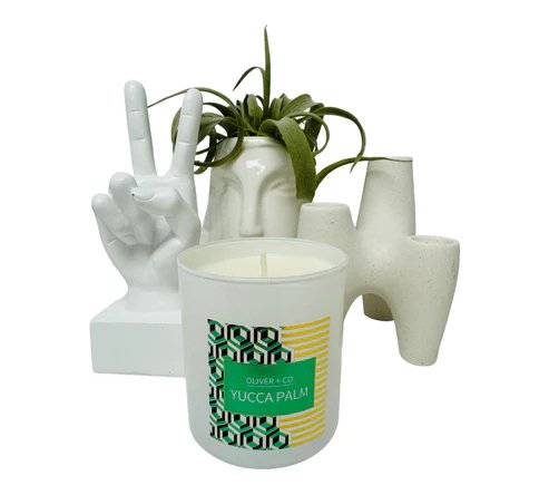 Yucca Palm 12 oz Signature Candle